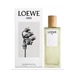 LOEWE Aire